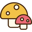 food,food and restaurant,nature,mushroom,Muscaria,Fungi,mushrooms