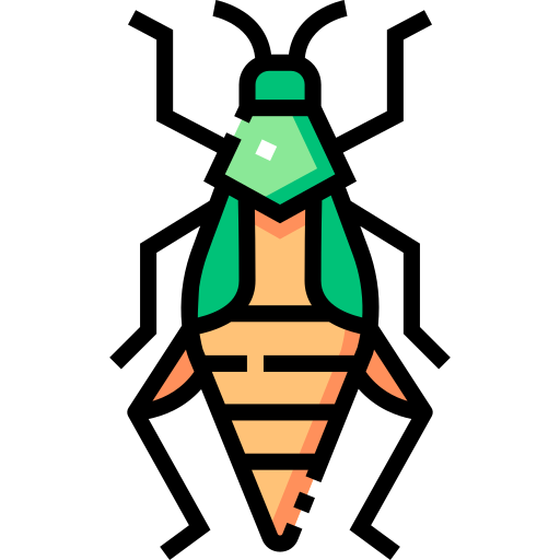 Grasshopper