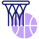 basket,sports and competition,sports,basketball,ball,basketball equipment