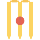 sports and competition,sport,sports,equipment,sportive,cricket bat,cricket