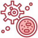 medical,virus,healthcare and medical,education,science,biology,coronavirus,bacteria,cell,scientist,investigation