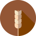 food,commerce and shopping,branch,supermarket,cereal,cereals,wheat,grain,seeds,grains