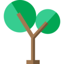 nature,botanical,tree,garden,yard,forest,pine