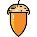 food,vegan,healthy food,organic,vegetarian,nature,acorn