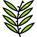vegan,healthy food,food and restaurant,organic,vegetarian,nature,wild,basil,herb ok 
