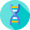 healthcare and medical,education,science,biology,genetical,dna structure,deoxyribonucleic acid,dna