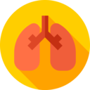 healthcare and medical,medicine,organs,anatomy,breathing,human body,breath,lungs,lung,human lungs