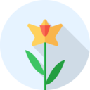 nature,botanical,garden,flower,blossom ok 