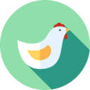 animals,animal kingdom,bird,farm,hen