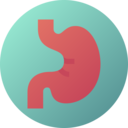 medical,healthcare and medical,body parts,organ,anatomy,stomach