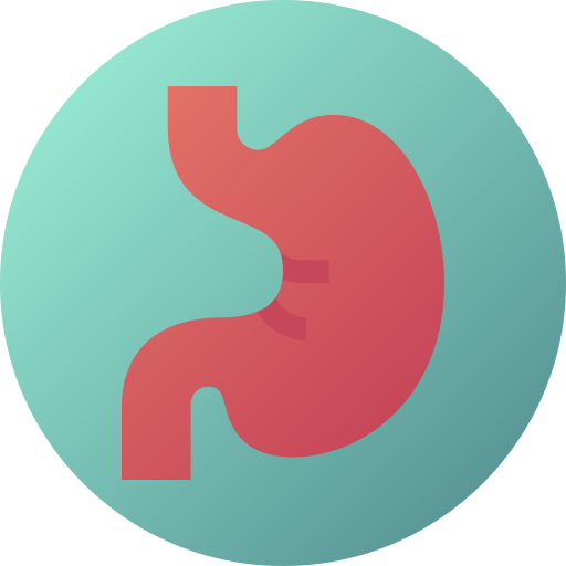 Stomach