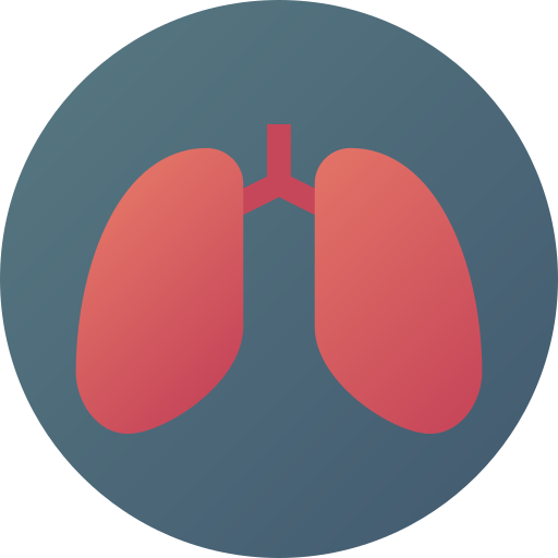 Lungs