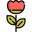 nature,botanical,garden,flower,blossom,tulip ok 