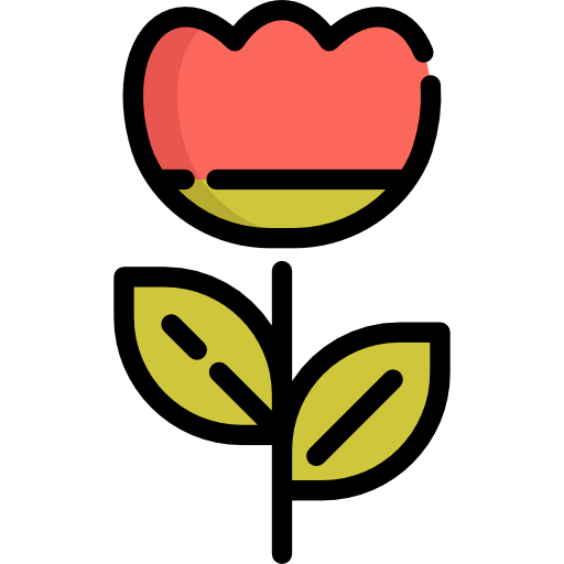 Tulip