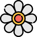 nature,botanical,flower,blossom,petals