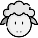 animals,animal,farm,farming,mammals,sheep,sheeps