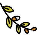 nature,branch,plant,leaves,willow