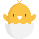 animals,wild life,animal kingdom,zoo,farming and gardening,chicken,egg shell ok 