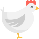 animals,bird,animal,farm,hen