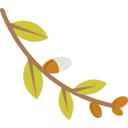 nature,branch,plant,leaves,willow