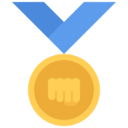 sports and competition,medal,sport,arts,fight,martial arts,martial
