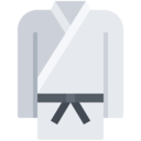 sports and competition,sport,arts,fight,martial arts,kimono,martial