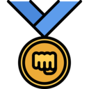 sports and competition,medal,sport,arts,fight,martial arts,martial