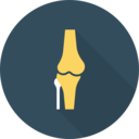 healthcare and medical,body parts,bones,anatomy,knee,joint,articulation