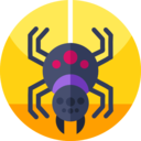 animals,animal kingdom,spider,insect,arachnid,cobweb,spider web ok 