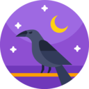 animals,wild life,animal kingdom,bird,animal,halloween,crow ok 