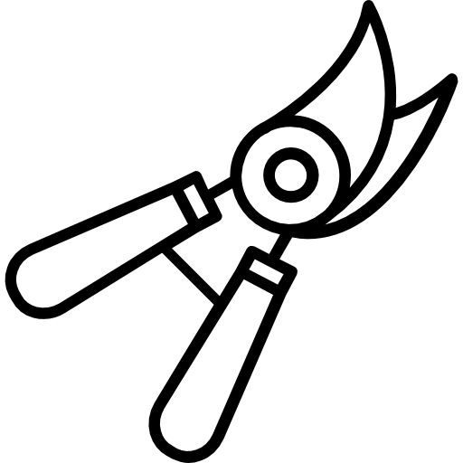 Scissors