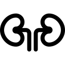 medical,health care,organs,body parts,health clinic