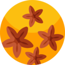 cultures,nature,plant,herb,anise