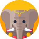 india,cultures,mammal,wild life,animal kingdom,indian,elephant