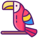 animals,wildlife,bird,animal,zoology,parrot,fly,wings,parrots