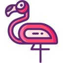 animals,wildlife,animal kingdom,zoo,bird,animal,farming and gardening,flamingo,flamingos