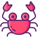 animals,beach,summer,aquarium,animal,seafood,sea,life,crab,crabs ok 