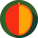 food,vegan,healthy food,food and restaurant,organic,diet,vegetarian,fruit,mango