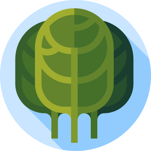 Spinach