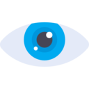 interface,medical,security,eye,view,visible,visibility