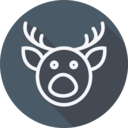 animals,mammal,winter,animal,christmas,reindeer,deer ok 
