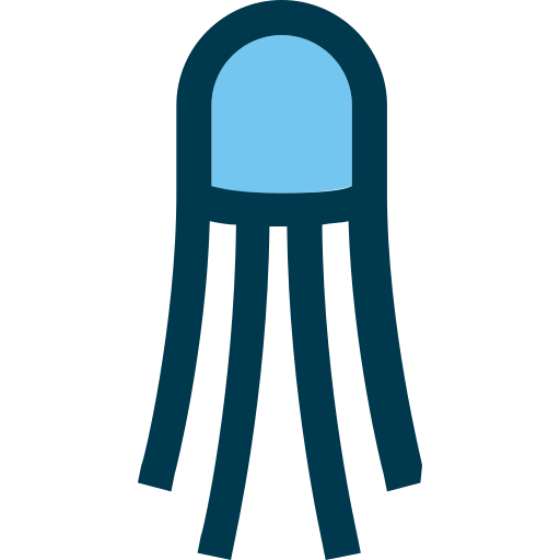 Jellyfish