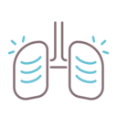 healthcare and medical,organ,anatomy,asthma,breath,lungs,physiology,breathe,human lungs
