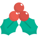 decoration,nature,christmas,ornament,mistletoe ok 