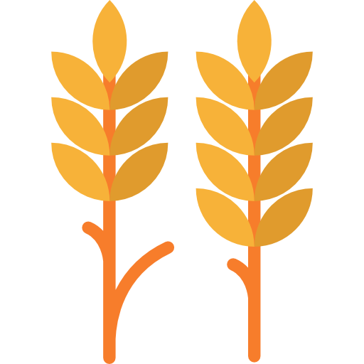 Wheat