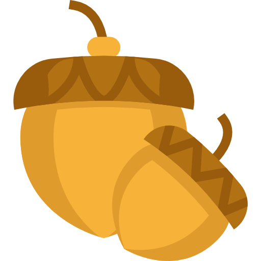 Acorn