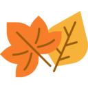 nature,plant,botanical,leaf,leaves,garden,autumn,fall