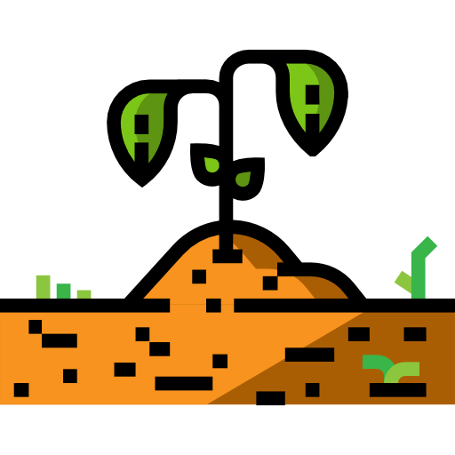 Sprout
