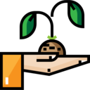 ecology and environment,nature,farming and gardening,tree,sprout,gardening,growing seed