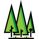 ecology and environment,nature,botanical,tree,garden,yard,forest,pines,pine ok 